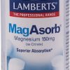 LAMBERTS MIN MAGASORB 60TABS