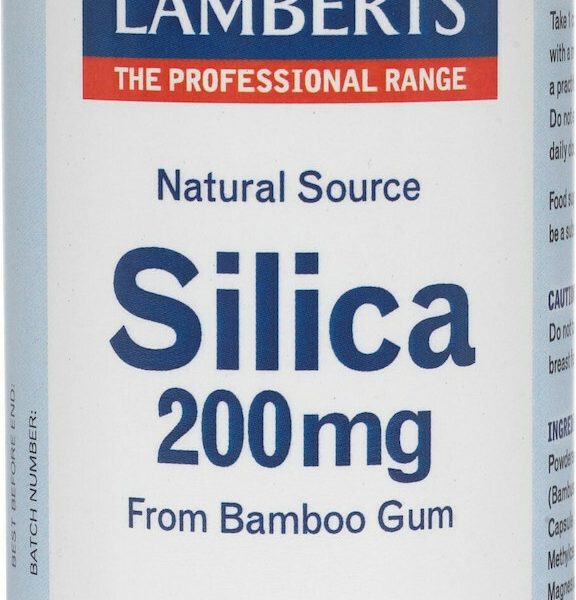 LAMBERTS SUP SILICA 90CAPS